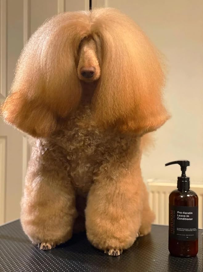 iGroom Dog Shampoo + Dog Conditioner Groomers Bundle - Vavoom Volumizing Dog Shampoo, Add Body and Volume, 16 oz - Pro-Keratin Leave-in Dog Conditioner, Excellent Detangling, 16 oz