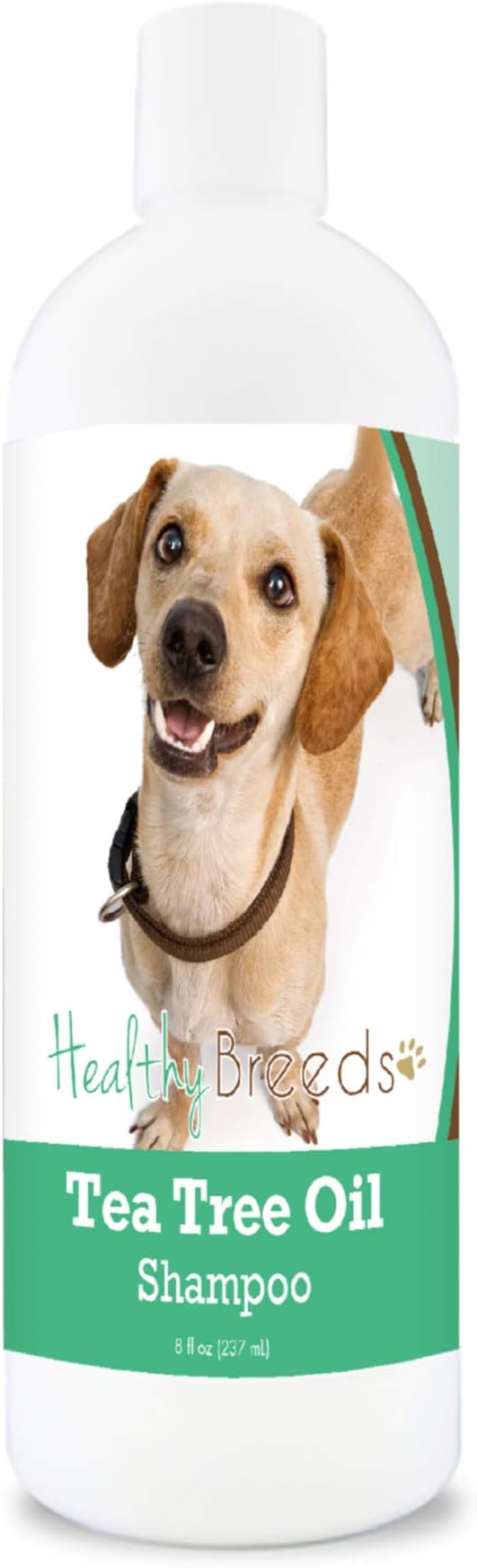 Healthy Breeds Chiweenie Tea Tree Oil Shampoo – Formulated for Dry, Irritated Skin – Reduce Dandruff – Wintergreen Scent – 8 oz