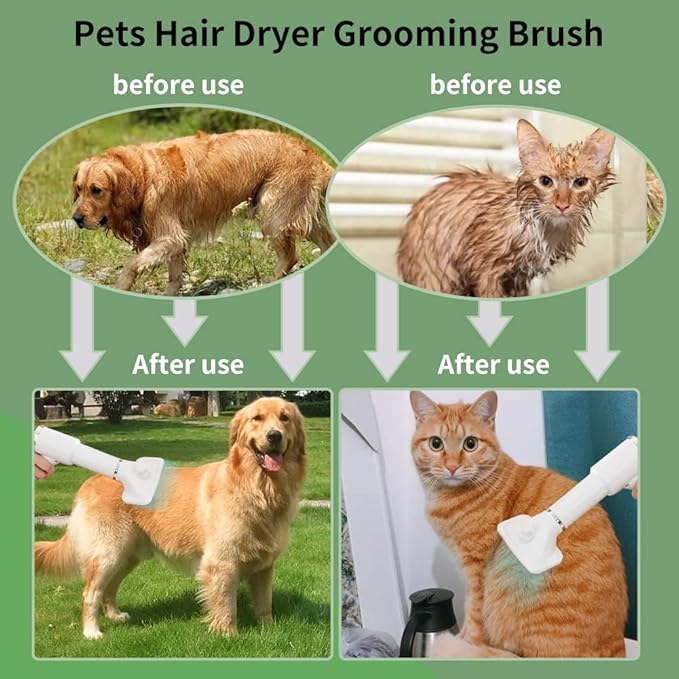 Pet Hair Dryer and Detachable Slicker Brush, 2-in-1, Black