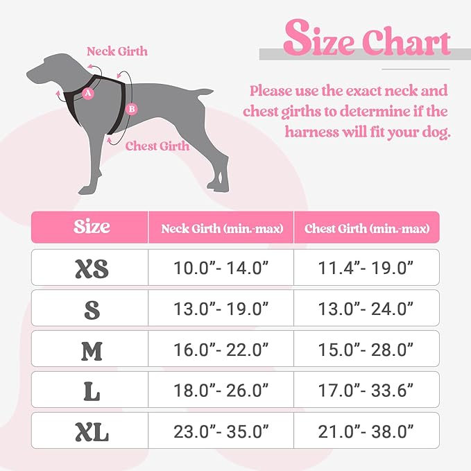 rabbitgoo Dog Harness, No-Pull Pet Harness with 2 Leash Clips, Adjustable Soft Padded Dog Vest, Reflective No-Choke Pet Oxford Vest with Easy Control Handle for Medium Dogs, Pink, M