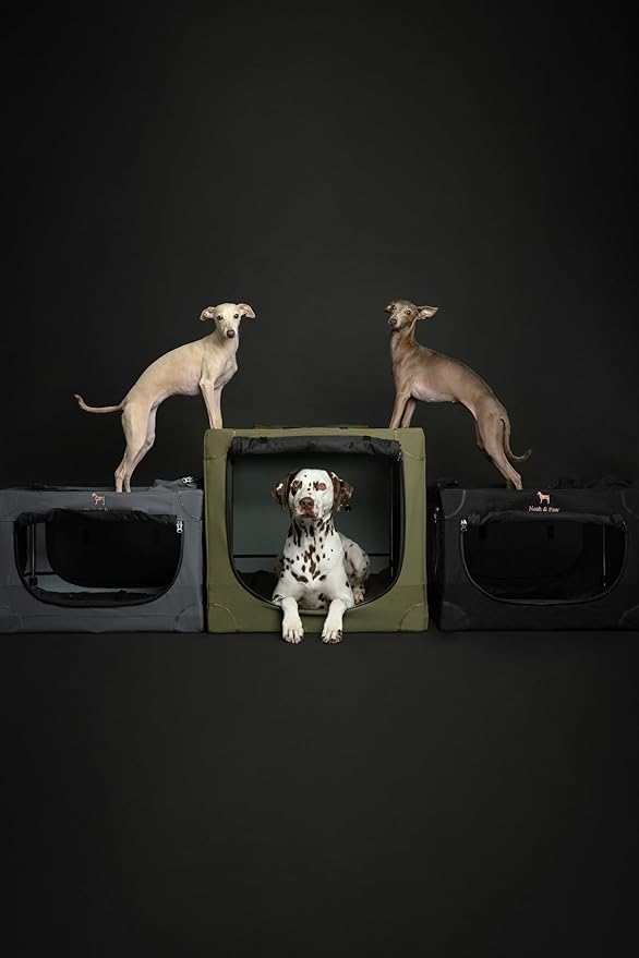 Noah & Paw Collapsible Dog Crate 42 Inch, XXL Dog Crate for XXL, XL, Large Breeds, Travel Kennel for Car, Includes Pet Mat for Pet Cage, 2 Storage Pockets, Handbag, 10mm Locking Zippers 42 * 31 * 31