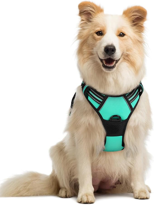 rabbitgoo Dog Harness, No-Pull Pet Harness with 2 Leash Clips, Adjustable Soft Padded Dog Vest, Reflective No-Choke Pet Oxford Vest with Easy Control Handle for Medium Dogs, Turquoise, M