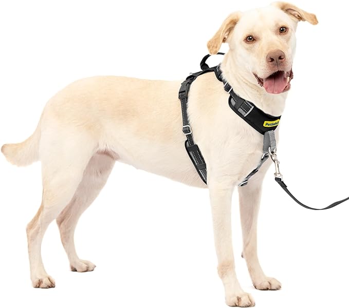 PetSafe Easy Walk Comfort No-Pull Dog Harness Full-Body Padding - Better Walks on The First Use - 5 Points of Adjustment Large, Black