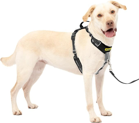 PetSafe Easy Walk Comfort No-Pull Dog Harness Full-Body Padding - Better Walks on The First Use - 5 Points of Adjustment Large, Black