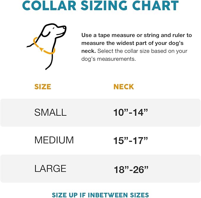 Embark Urban Dog Collar – Dog Collar Stylish & Durable Nylon Dog Collar for Large Dogs, Small Dogs & Medium Dogs.Comfortable Pet Collar Strong Buckles for Any Size Breed (Azure, Large)