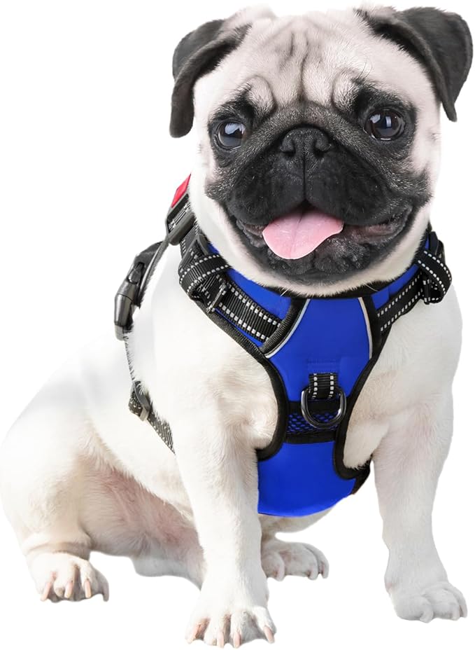 PHOEPET No Pull Dog Harness Medium Reflective Front Clip Vest with Handle,Adjustable 2 Metal Rings 3 Buckles,[Easy to Put on & Take Off](L, Royal Blue)