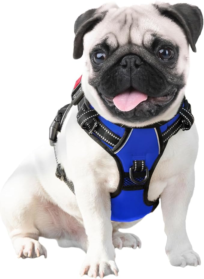 PHOEPET No Pull Dog Harness Medium Reflective Front Clip Vest with Handle,Adjustable 2 Metal Rings 3 Buckles,[Easy to Put on & Take Off](M, Royal Blue)