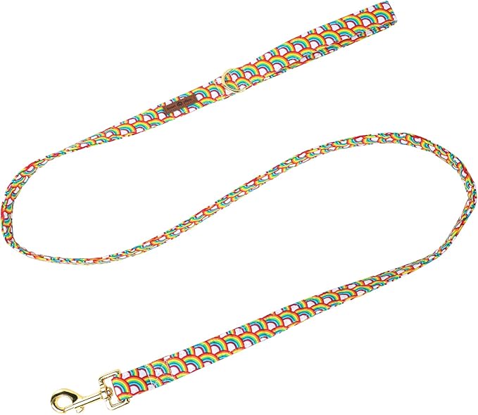 Lionet Paws Rainbow LGBT Pride Dog Leash Matching Dog Collar for Small Medium Large Dog