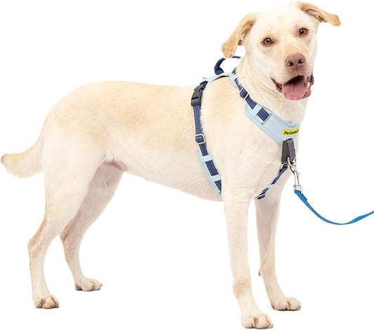 PetSafe Easy Walk Comfort No-Pull Dog Harness Full-Body Padding - Better Walks on The First Use - 5 Points of Adjustment Large, Blue