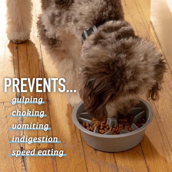 Leash Boss Slow Feeder Dog Bowl - Cup Maze Puzzle Food Bowl, Fits into Elevated Pet Feeders - Slow Eating for Large, Medium & Small Sized Breeds (4 Cup - 8.9-9.25 Inch Holes)