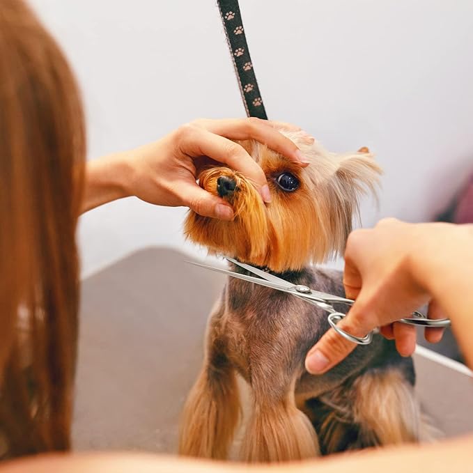 High-end Professional Dog Grooming Scissors Pet Grooming Shears 7.5 Inch Extremely Very Sharp Made Of Advanced Stainless Steel Alloy By Hand For Dog Cat Other Animals And Horse Breeder