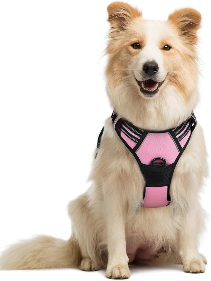 rabbitgoo Dog Harness, No-Pull Pet Harness with 2 Leash Clips, Adjustable Soft Padded Dog Vest, Reflective No-Choke Pet Oxford Vest with Easy Control Handle for Medium Dogs, Pink, M