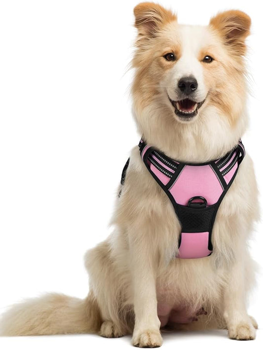 rabbitgoo Dog Harness, No-Pull Pet Harness with 2 Leash Clips, Adjustable Soft Padded Dog Vest, Reflective No-Choke Pet Oxford Vest with Easy Control Handle for Medium Dogs, Pink, M