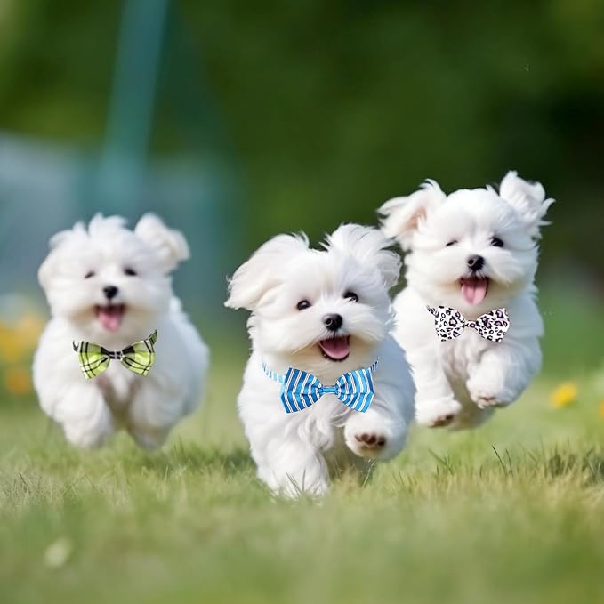 Segarty 60pcs Bow Ties for Dogs, Adjustable Bowtie Collars for Small Medium Pet, Comfortable Cats Neck Bow Tie Large Puppy Cute Neckties Grooming Accessories for Birthday Holiday Wedding Gift