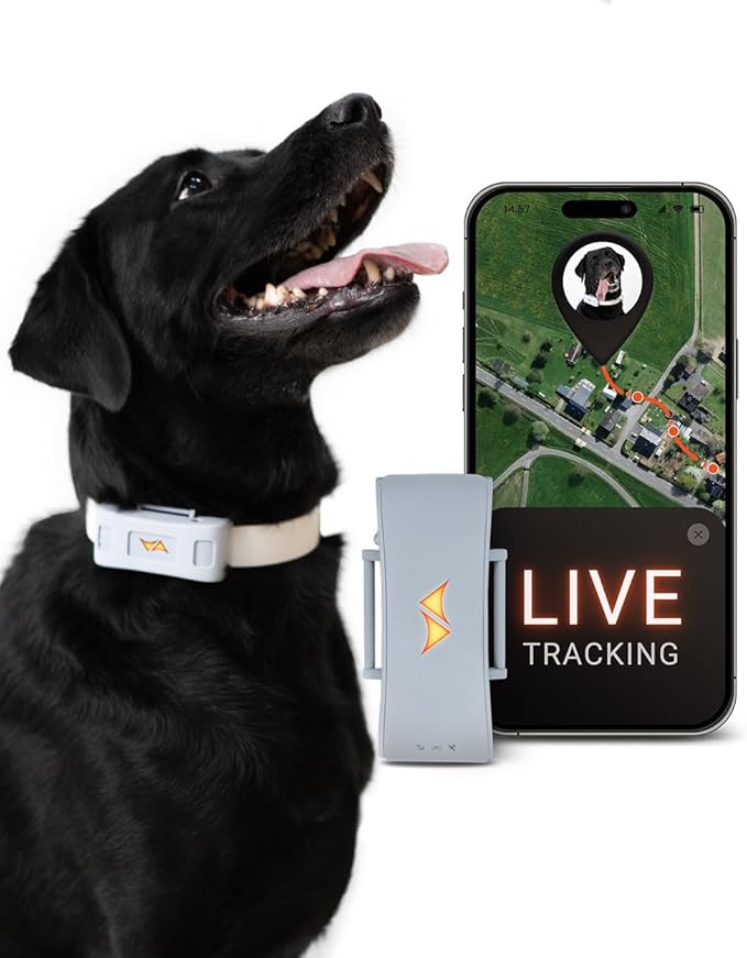 PAJ GPS Tracker for Dogs - 4G GPS Collar Tag with Real-Time Location Tracking & Runaway Alert - Waterproof & Up to 10 Days Battery Life - Fits Any Collar w/Glowing LEDs - Subscription Required - Grey