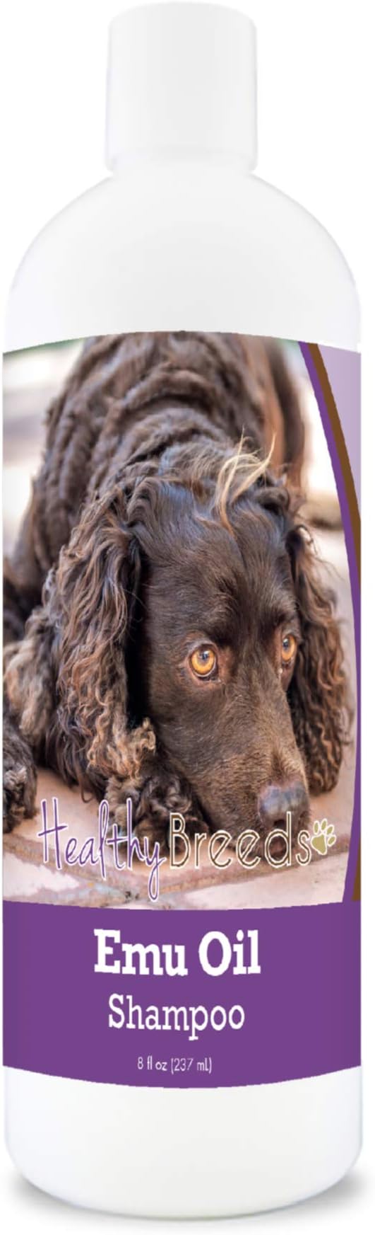 Healthy Breeds American Water Spaniel Emu Oil Shampoo 8 oz