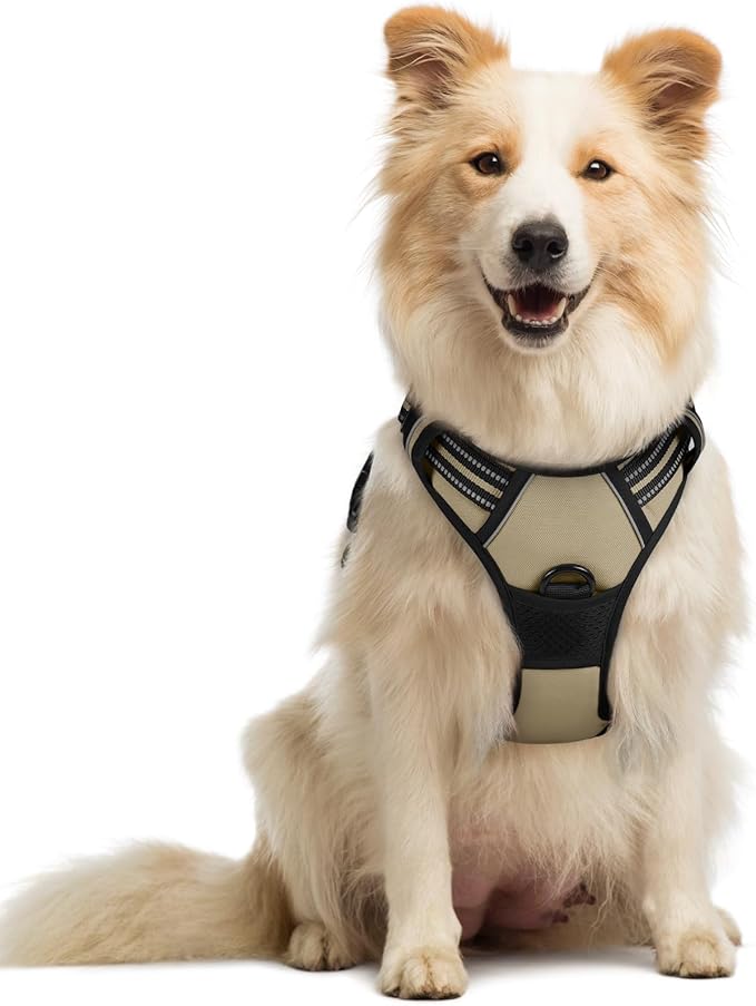 rabbitgoo Dog Harness, No-Pull Pet Harness with 2 Leash Clips, Adjustable Soft Padded Dog Vest, Reflective No-Choke Pet Oxford Vest with Easy Control Handle for Medium Dogs, Beige, M