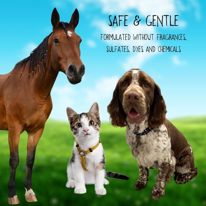 Brittanie's Natural Itchy Skin Relief Shampoo + Conditioner for Dogs & Cats | Honey & Oatmeal Oils | for Allergies and Itching | Deodorizes, Moisturizes & PH Balanced (128 Ounce)