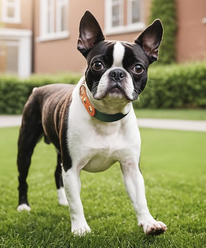 Premium Genuine Leather Dog Collar - Durable 4.5mm Thick, Color-Blocking Design with Rose Gold Hardware, Available in 4 Sizes for Small, Medium and Large Dogs, Green 16.5-20 in