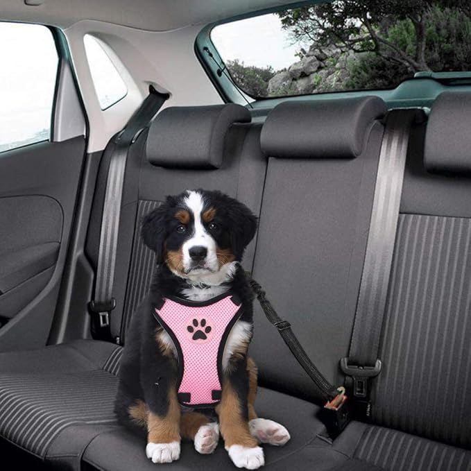 SlowTon Dog Seat Belt Harness for Car, Dog Car Harness Adjustable Mesh Breathable & Dog Seatbelt Safety Tether with Elastic Bungee for Small Medium Large Pets(Pink, Single Clip, XXXS)