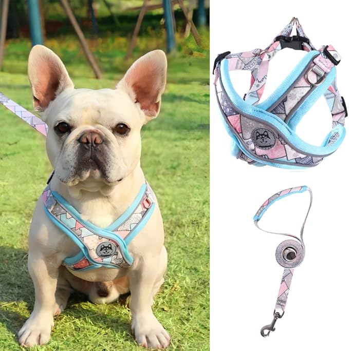 PT-010 Pet Dog Puppy No-Pull Harness Walking Training Harness with Leash Reflective Vest (Blue, Small)
