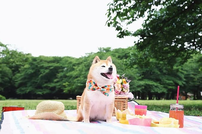 Unique style paws Dog Collar, Girl or Boy Dog Bow Tie, Bowtie Dog Collar Pet Collar for Small Memium Large Dogs