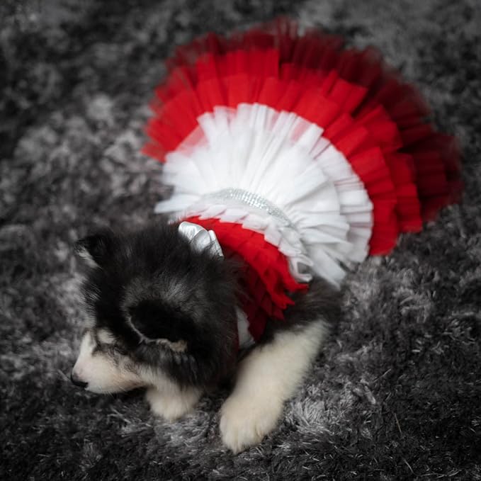 Dress with Lovely Bandana - Dog Clothes for Medium and Large Dogs Like Shih Tzu, Labrador, Golden Retriever, Pug and Cat Clothes - S Red