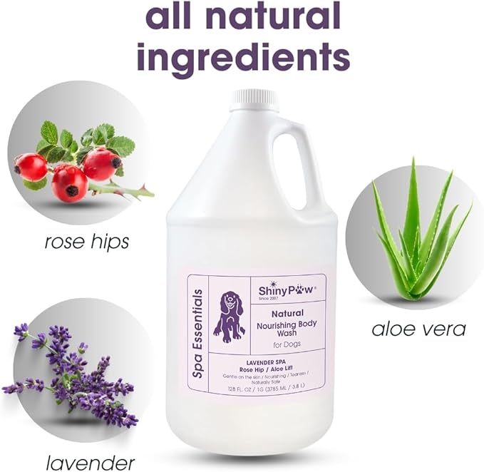 Lavender Shampoo Spa Essentials Nourishing Dog Body Wash 128 oz by Shiny Paw | Anti Itch Shampoo for Dogs | Dog Bath Coat Cleaner for Dogs | Made in The USA