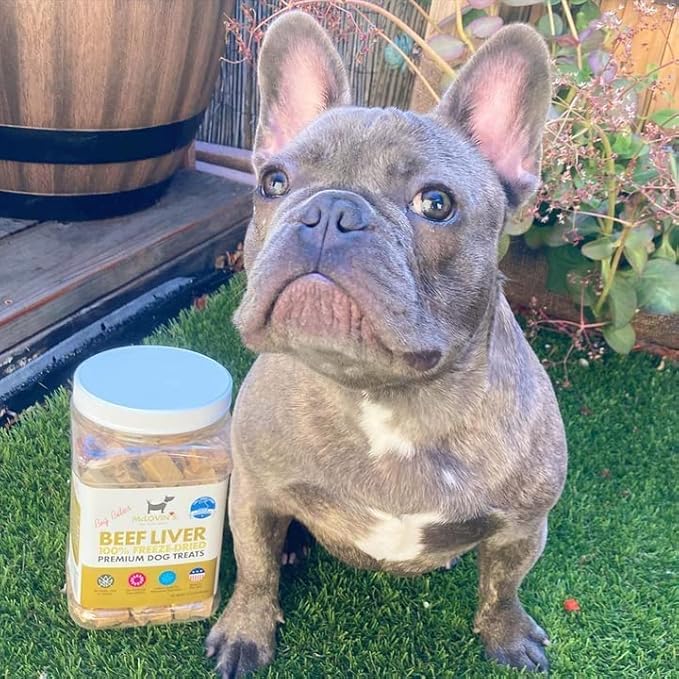 McLovin's Pet Freeze Dried Raw Beef Liver Dog Treats and Toppers, 12 oz. Canister - Single Ingredient, Grain-Free, Gluten-Free, High-Protein Treat – Healthy Dog Training Treats