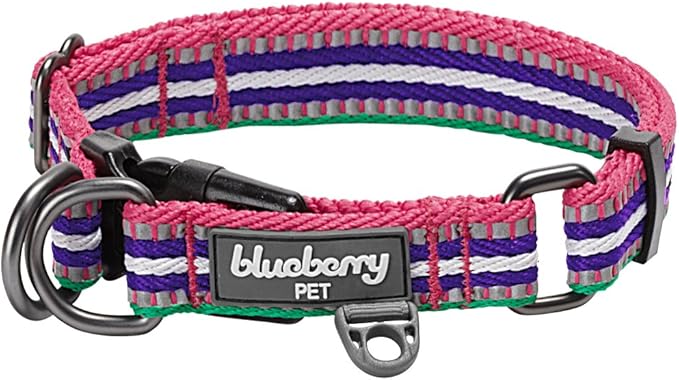Blueberry Pet 3M Reflective Dog Collars | Adjustable Dog Collar w/Multi-Colored Stripe - Pink, Emerald and Orchid | Nylon Pet Collars for Dogs & Refflective Dog Collar for Medium Dogs