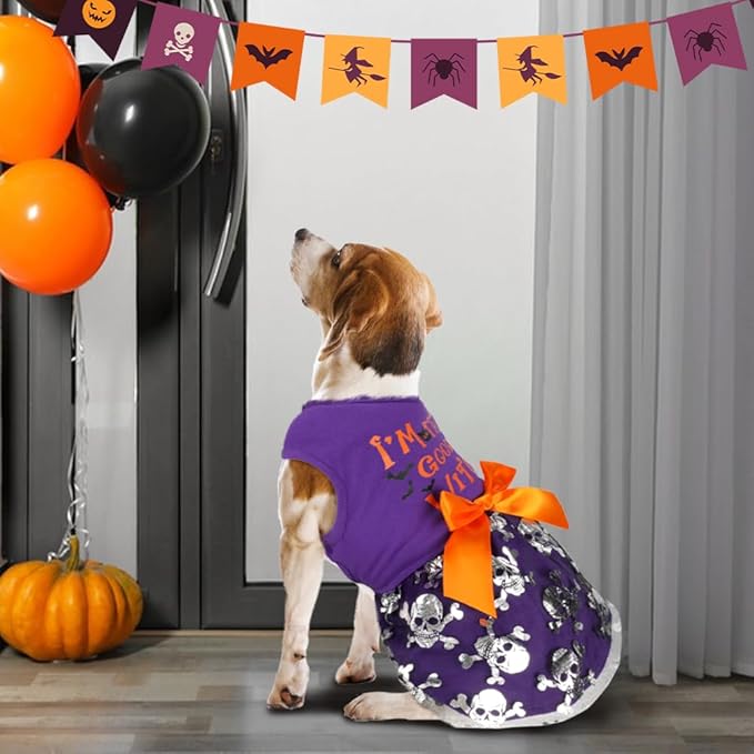 Funny Puppy Dress with Bow - Small/Large Dog Halloween Costume - Pumpkin Witch Bat Pet Dress (Small, Good Witch2)