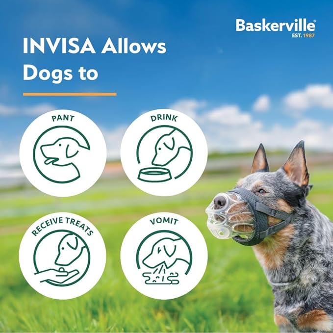 Baskerville INVISA Basket Dog Muzzle - Patented Humane Design with Facial Visibility, Padded Nose Band, Dog can Pant and Drink, Prevents Biting and Scavenging. Muzzle for Medium-sized Dogs (Size 4)