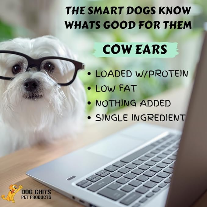 Dog Chits Cow Ears for Dogs and Puppies | 10 Pack | All Natural Half Ears | Made in USA | No Preservatives | 100% Grass Fed Beef | Single Ingredient | Nothing Added | Great for Dogs