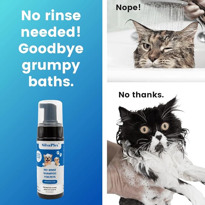 No Rinse Deodorizing Dry Pet Shampoo Plus Conditioner Foam for Dogs and Cats, Waterless Cleanse Enhanced with AG21 Chitosan-Silver Natural Coat Refresh, 5 Oz