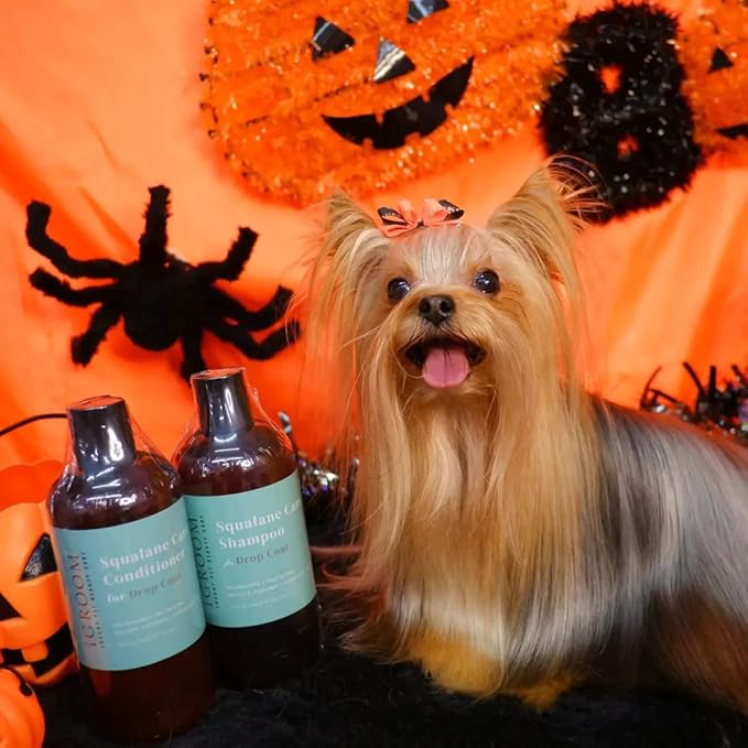 iGroom Squalane Care Dog Conditioner for Drop Coats, Luxury Pet Beauty Care, Optimize Moisture Balance, Intense Conditioning, Gallon