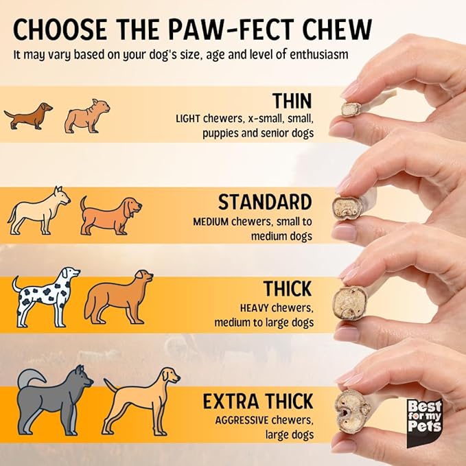 Best For My Pets Odor Free Bully Sticks, Long-Lasting Chews to Keep Puppies and Dogs Happily Busy, All-Natural Fully Digestible, 6-Inch Long, 8-Ounce Bag