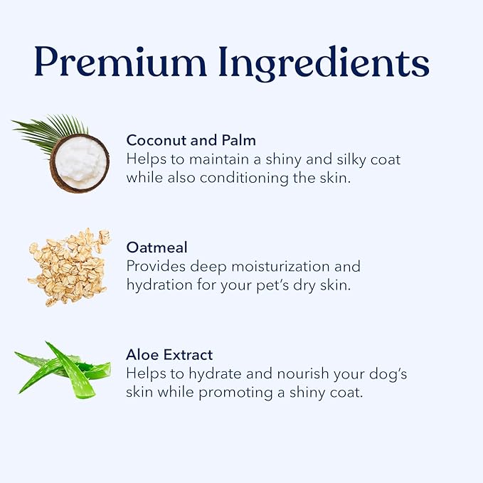 Honest Paws Dog Shampoo and Conditioner - Premium Dog Wash for Allergies and Dry, Itchy, Moisturizing for Sensitive Skin - Sulfate Free, Plant Based, All Natural - Oatmeal & Aloe -16 Fl Oz