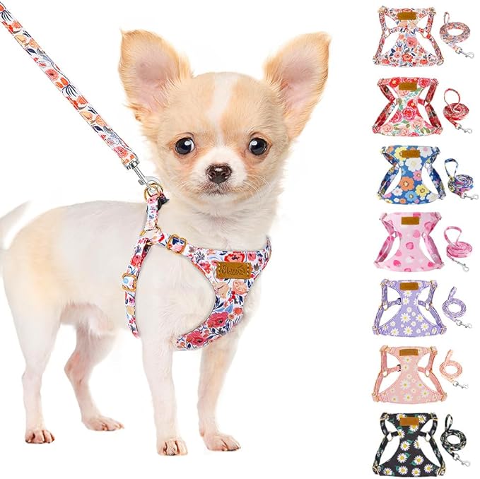 SlowTon No Pull Dog Harness with Leash - Soft Lightweight Floral Pattern Puppy Harness, Adjustable Pet Harness for Small Medium Dogs (Flower S)