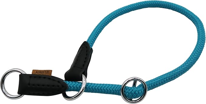 Braided Rope Collar, Pro Training Dog Collar, No Pull Round Martingale Collar, Slip Collar with Slidable Stop Ring - Ideal for Small Dogs (S(1/3") - 16" Long, Light Blue)