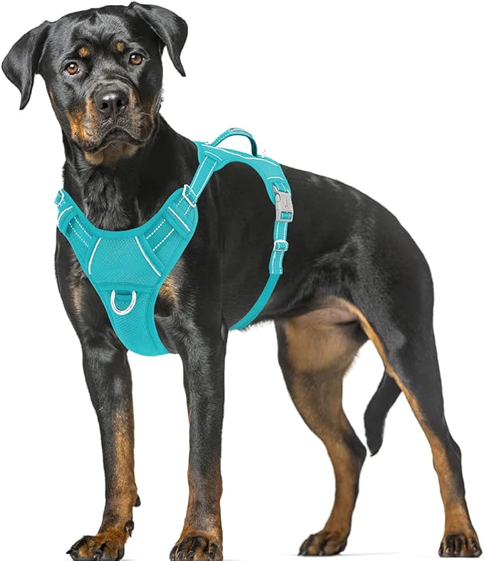 BARKBAY No Pull Dog Harness Large Reflective Dog Harness with Front Clip and Easy Control Handle for Walking Training Running with ID tag Pocket(Ocean Blue,XL)