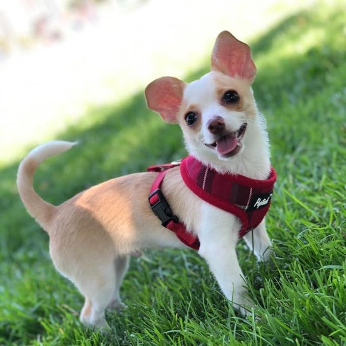 PUPTECK Soft Mesh Dog Harness and Leash Set Pet Puppy Cat Comfort Padded Vest No Pull Harnesses, Red, S