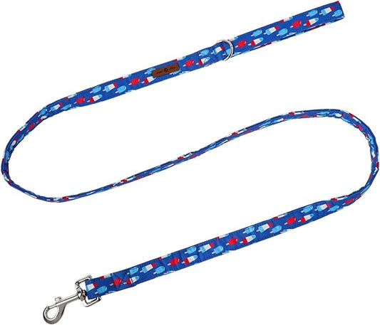 Lionet Paws Patriotic 4th of July American Flag Dog Leash Matching Dog Collar for Small Medium Large Dog