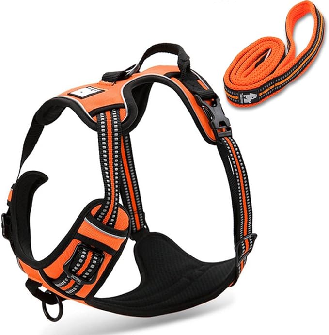 Reflective Nylon No-Pull Dog Harness and Training Leash Set Padded Durable Adjustable(S, Orange Set)