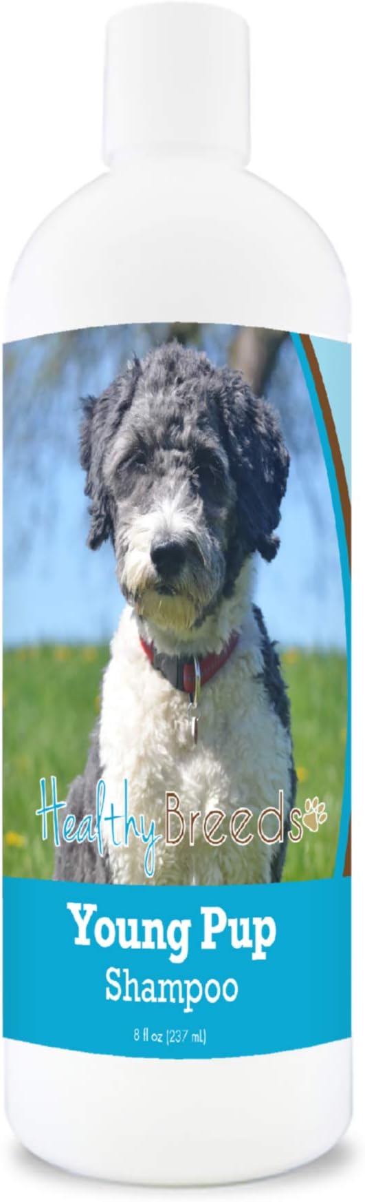 Healthy Breeds Aussiedoodle Young Pup Shampoo 8 oz