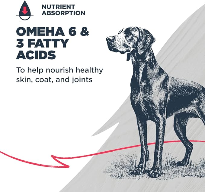 Blackwood Grain Free Dry Dog Food, Salmon & Field Pea Recipe, 10 Pound Bag for All Life Stages, Slow Cooked with Vitamins & Minerals for a Balanced Diet