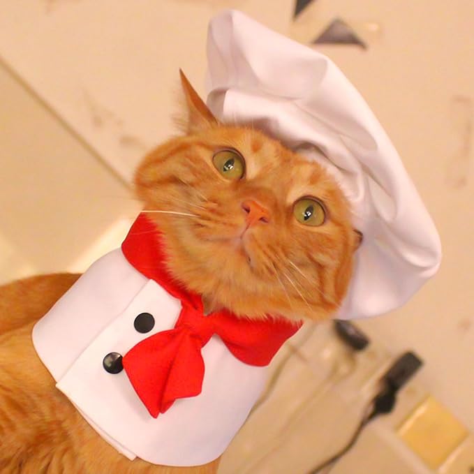 Pet Chef Hat - White Pet Hat Chef Appearance Clothing, Adjustable Cooking Cap and Cloak Set