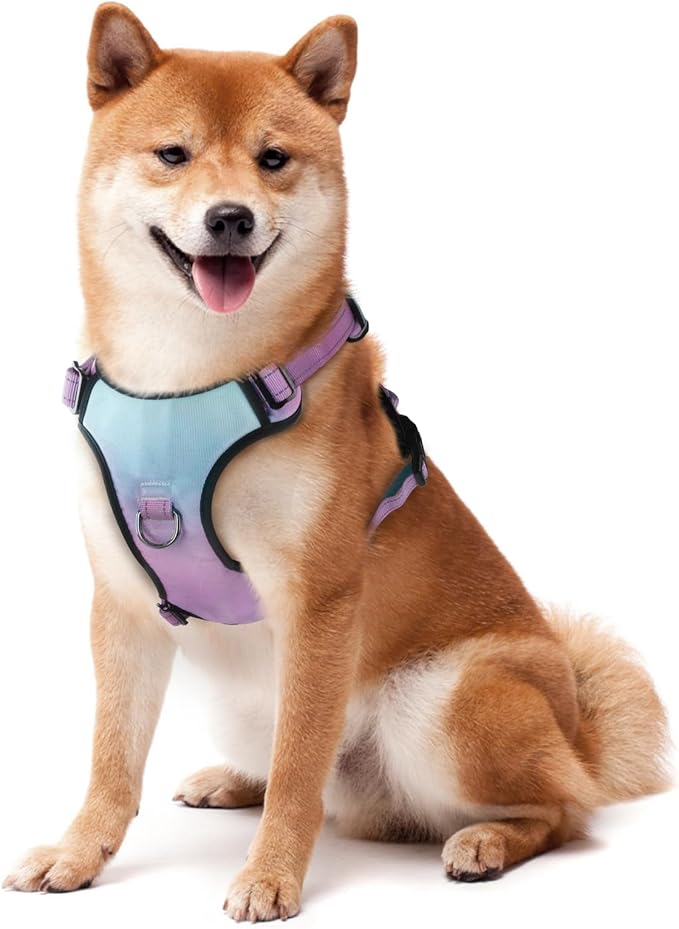 QQPETS No Pull Dog Harness with 2 Leash Clips，Adjustable Soft Padded Dog Vest, Reflective Outdoor Pet Oxford Vest with Easy Control Handle for Small to Large Dogs Walking Training