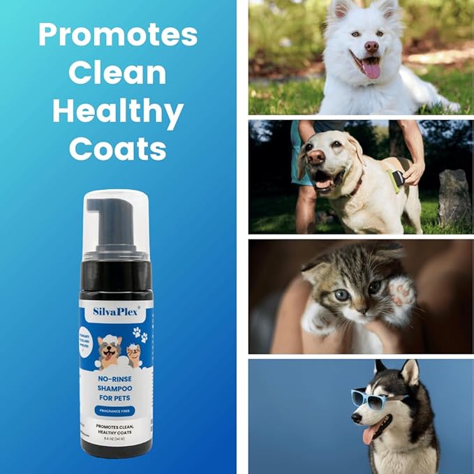 No Rinse Deodorizing Dry Pet Shampoo Plus Conditioner Foam for Dogs and Cats, Waterless Cleanse Enhanced with AG21 Chitosan-Silver Natural Coat Refresh, 5 Oz