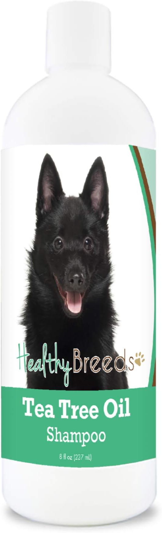 Healthy Breeds Schipperke Tea Tree Oil Shampoo – Formulated for Dry, Irritated Skin – Reduce Dandruff – Wintergreen Scent – 8 oz
