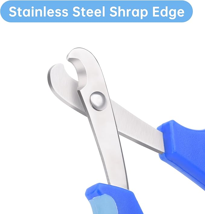 Bearded Dragon Nail Clippers,Stainless Steel Bearded Dragon Toe Nail Clippers with Precise Angled Edges (Blue)